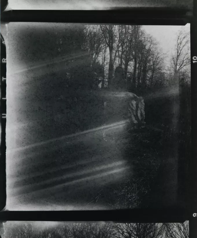 Analoge Schwarz-Weiß-Fotografie eines Waldes mit markanten Lichteffekten