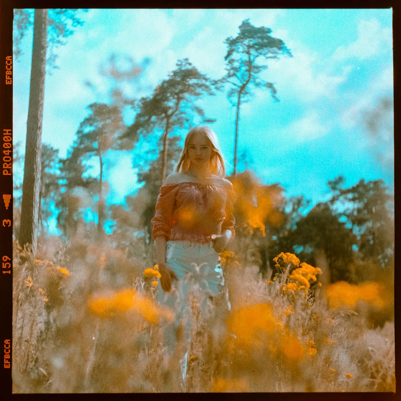 Analoges Portrait einer Frau in einem Feld mit gelben Blumen und Kiefern unter blauem Himmel.
