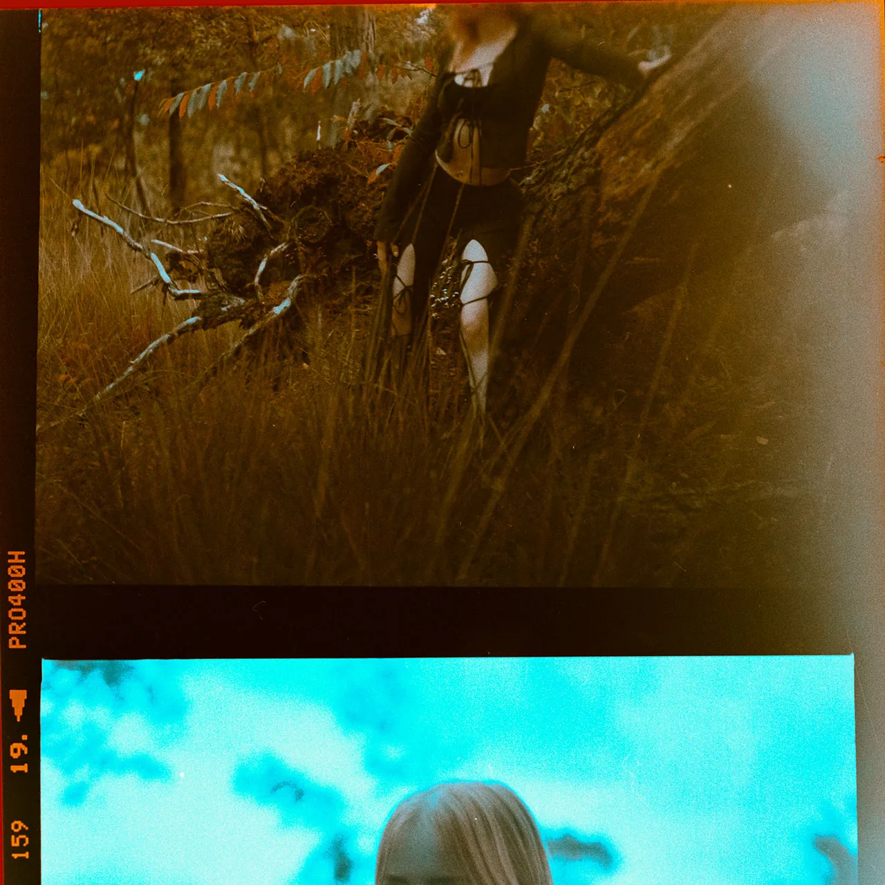 Analoges Portrait einer Person in dunkler Kleidung zwischen Baumwurzeln im Wald.