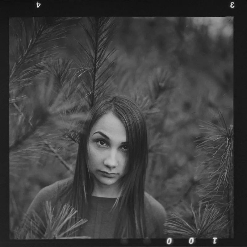 Analoges Schwarz-Weiß-Portrait einer jungen Frau zwischen Kiefernzweigen.