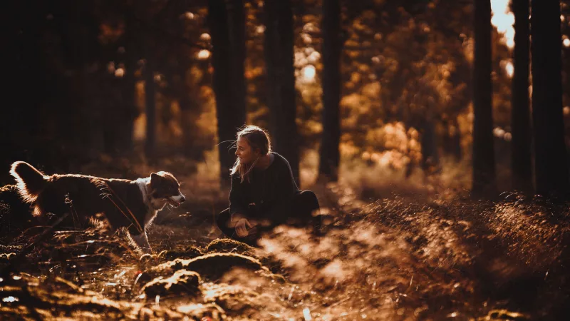 Eine Frau sitzt mit einem Hund in einem sonnendurchfluteten Wald.