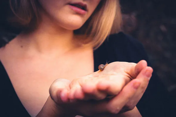 Eine kleine Schnecke auf der offenen Handfläche einer Person.