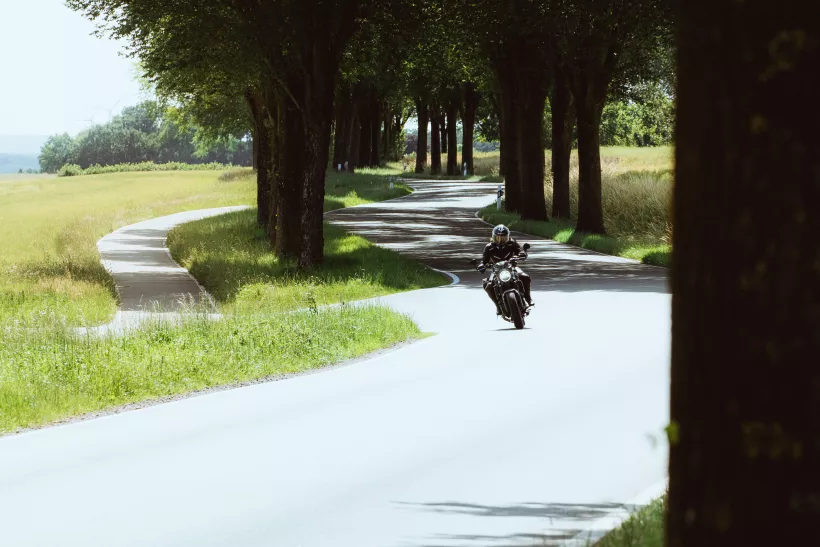 Ein Motorradfahrer auf einer kurvigen Straße unter einem schattigen Blätterdach in der Landschaftsfotografie.