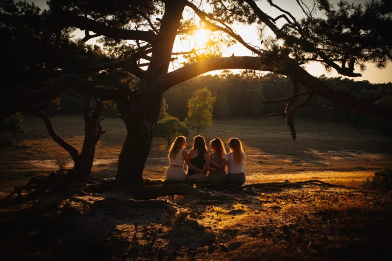 Vier Frauen sitzen im warmen Licht der Abendsonne unter einem großen Baum in einer weiten Landschaft.