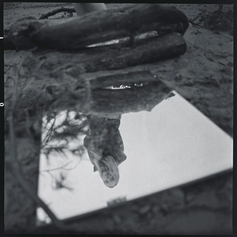 Wait, looking at the image composition: The mirror is tilted. The reflected wood is roughly at Y=60-7