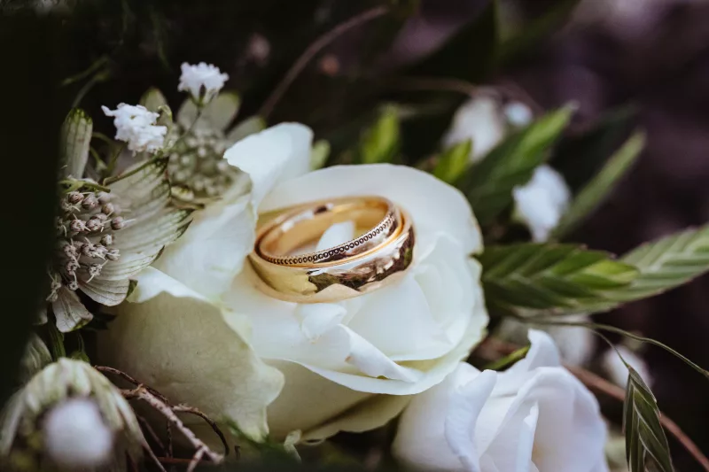 Zwei goldene Eheringe auf einer weißen Rose mit grünem Blattwerk und kleinen weißen Blüten.